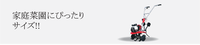 このページを印刷する