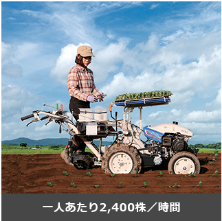 一人あたり2,400株/時間