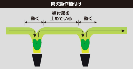 間欠動作植付けで、姿勢が乱れない。