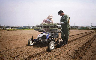 大容量苗載せ台