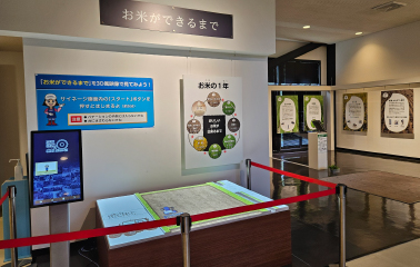 お米ができるまで