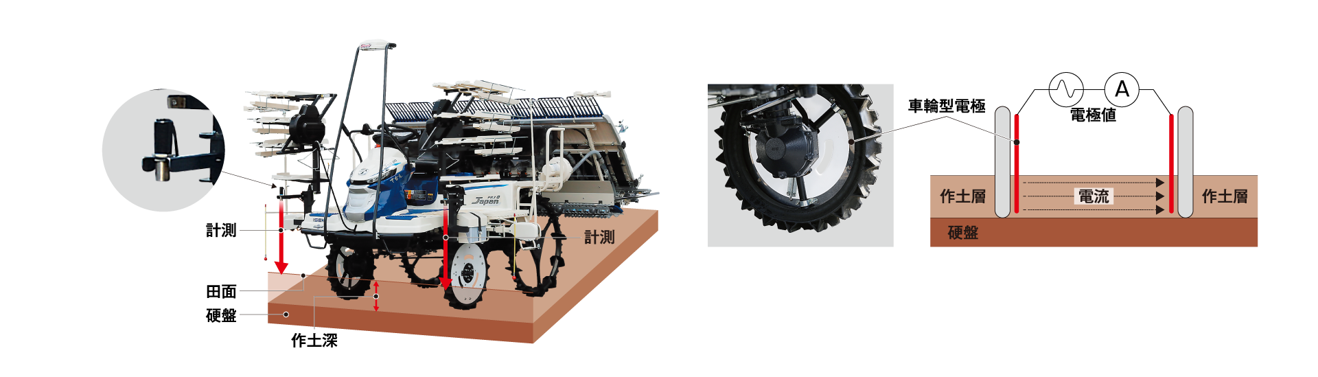 COP30に参加 ミドリ・インフィニティ 賛同企業として共同声明発表