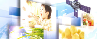 農業用ICT提案