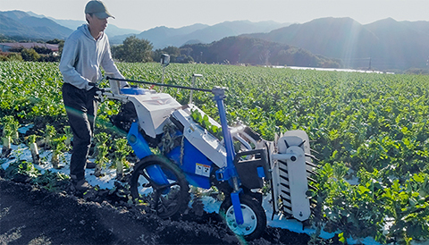 野菜作機械化一貫体系のご提案