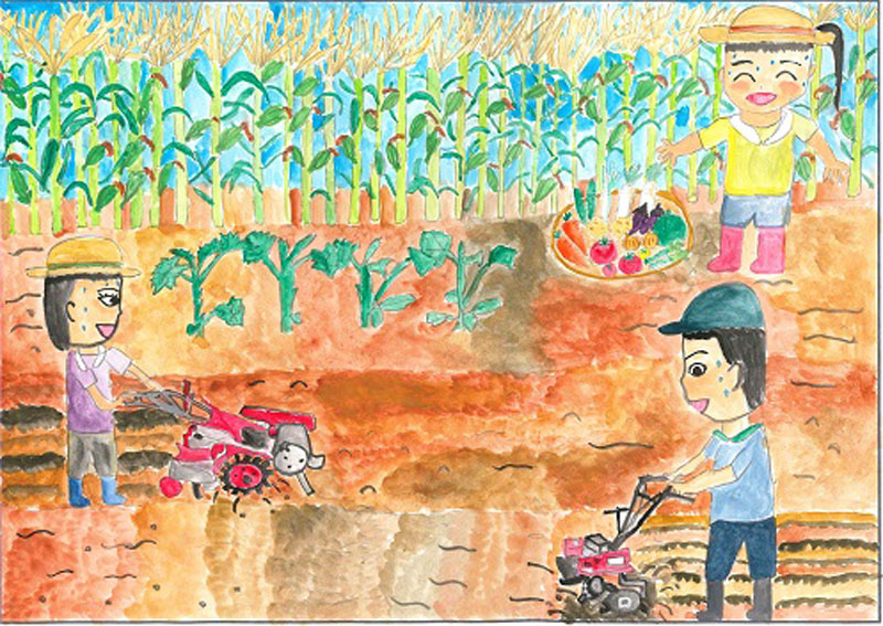 夏の農業