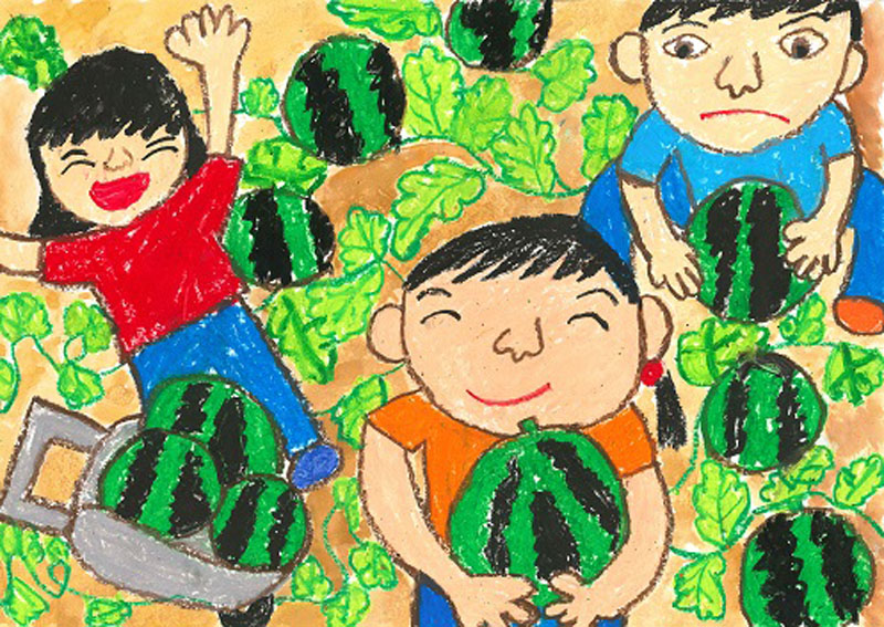 大きなすいかがとれたよ