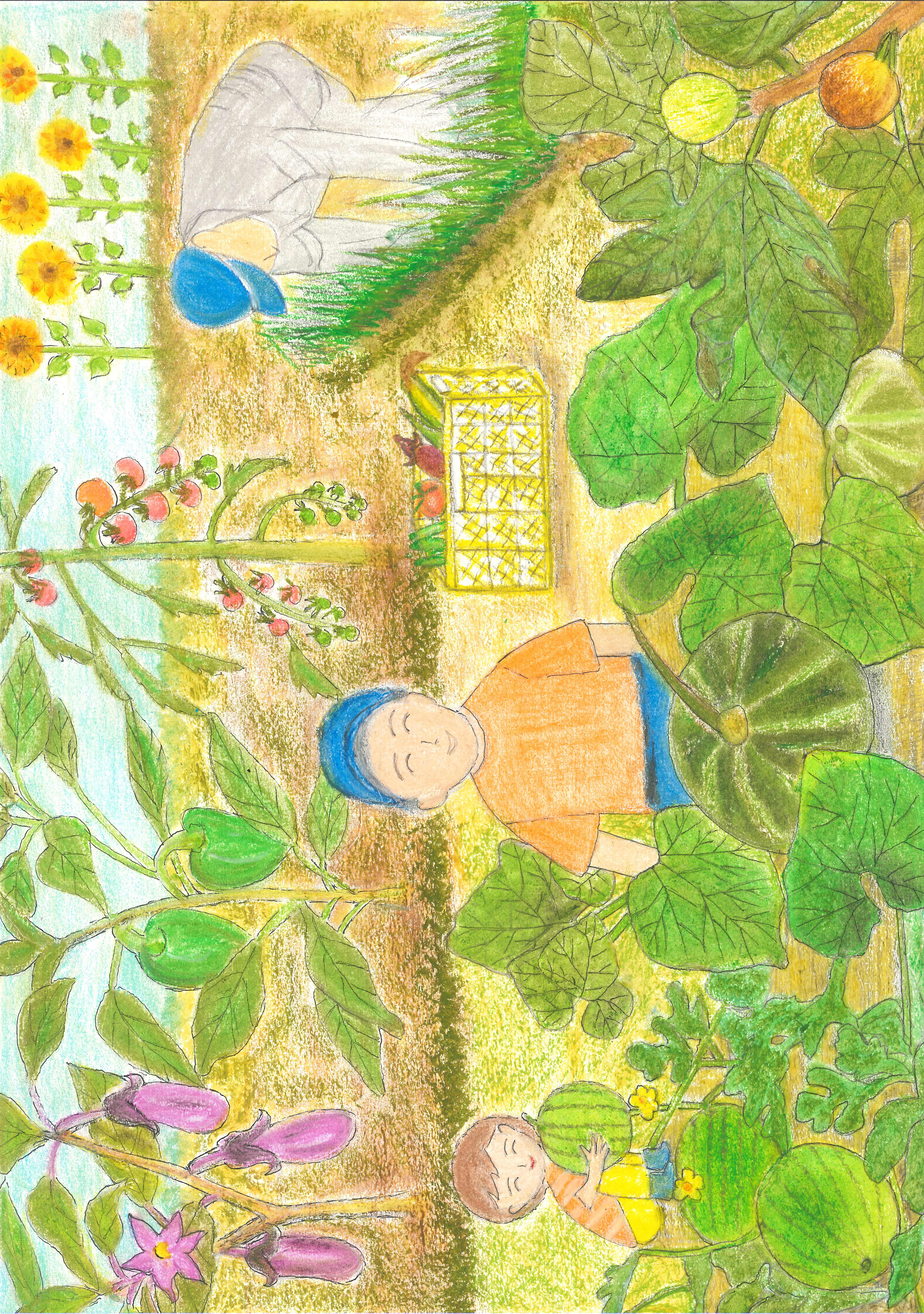 野菜作りは楽しいね！