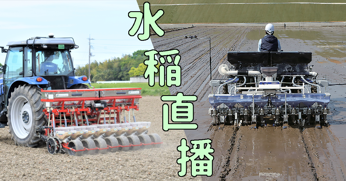 面積拡大にお悩みのあなた、直播にトライ！ ｜営農情報｜農業機械専業