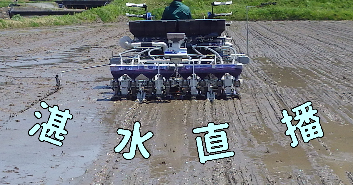 湛水直播栽培のポイント ｜営農情報｜農業機械専業メーカー｜井関農機
