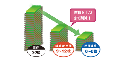 どのくらいコストを削減できるの？密播疎植導入のメリット