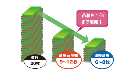 どのくらいコストを削減できるの？　密播疎植導入のメリット