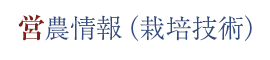 営農情報（栽培技術）