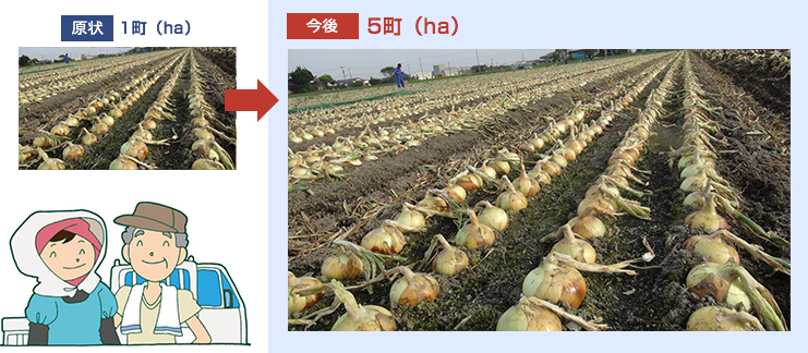営農情報