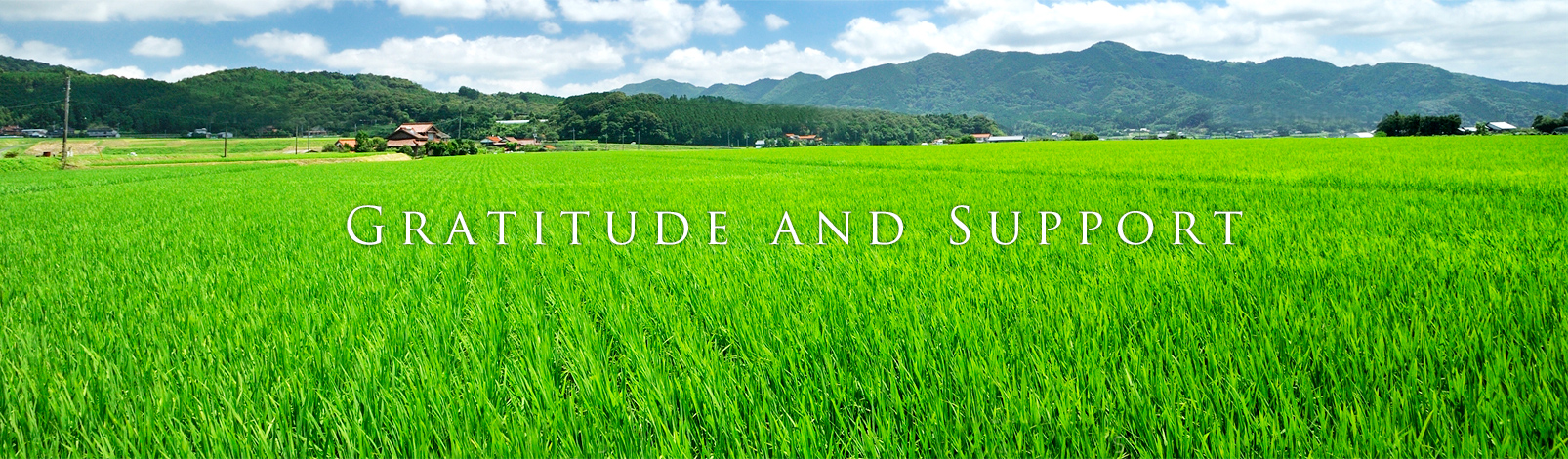 GRATITUDE AND SUPPORT