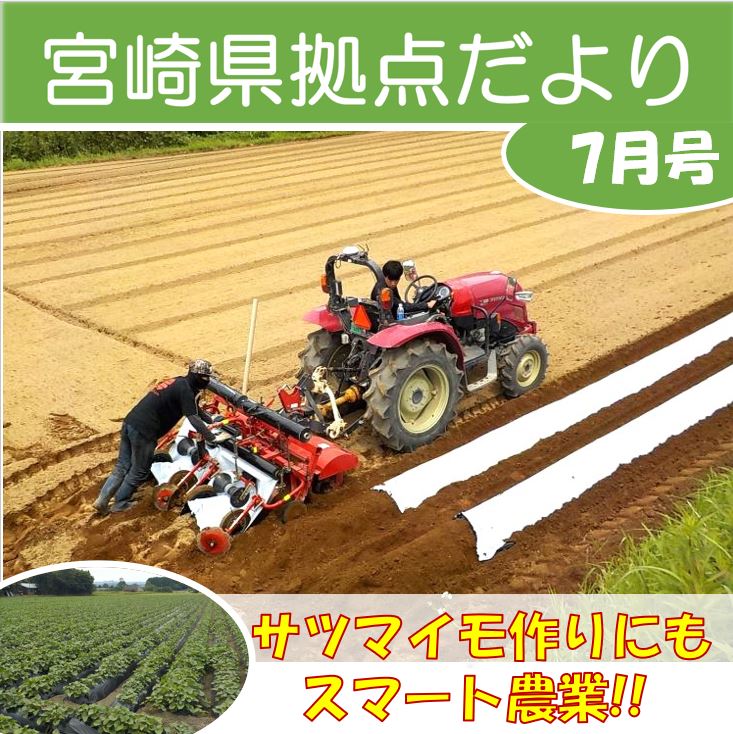 「宮崎県拠点だより №49 7月号」を発行しました！