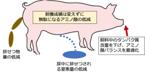 「みどりの食料システム戦略」技術カタログ紹介：アミノ酸バランス改善飼料給与による温室効果ガス削減技術のご紹介