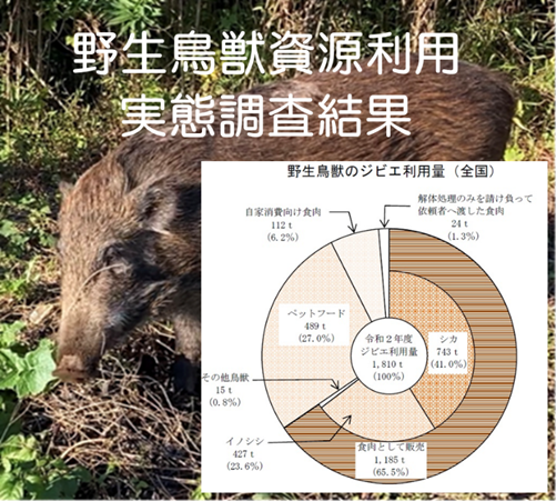 【統計】野生鳥獣資源利用実態調査結果（令和2年度）を公表！