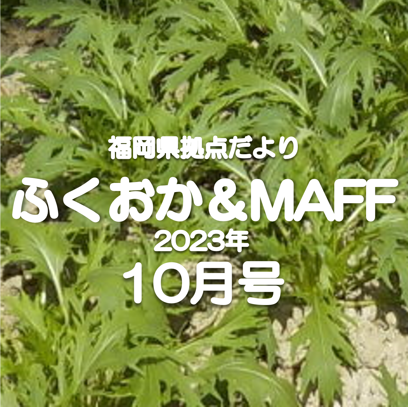 【GAP～経営の進化と担い手の育成】福岡県拠点だより10月号発行