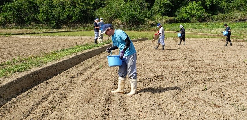 【関東農政局×若者】【有機質肥料の効果検討！】学生チャレンジのご紹介～学生たちの農業革命～第14弾！