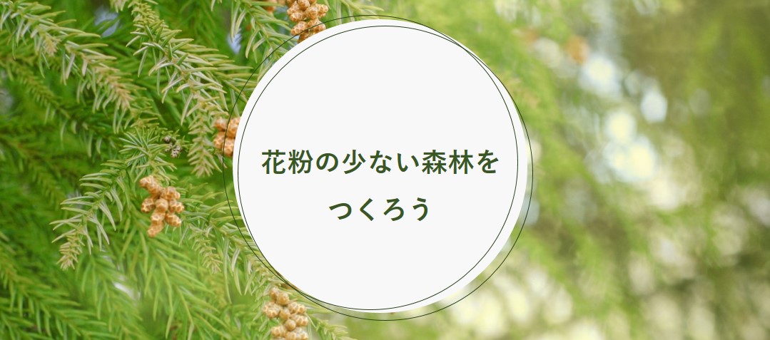 新たな「全国森林計画」が閣議決定されました