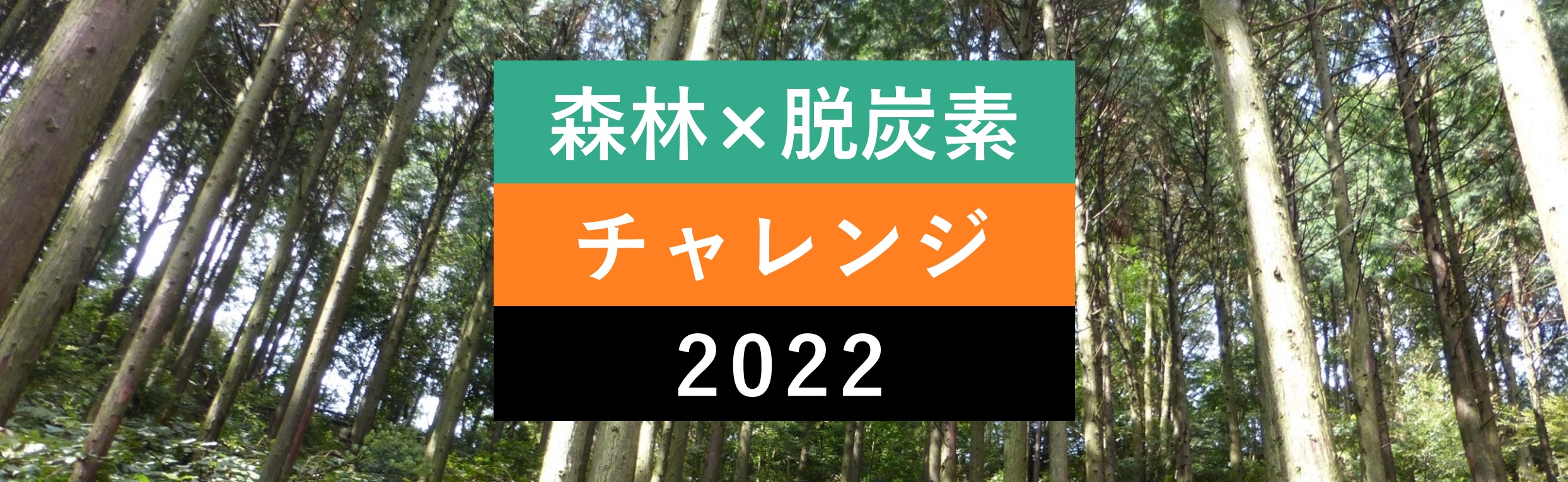 「森林×脱炭素チャレンジ2022」の受賞者を決定しました