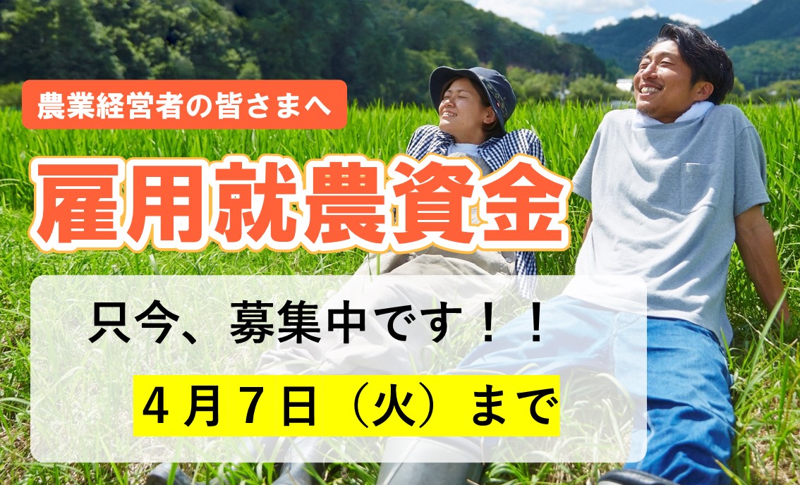 【雇用就農資金の募集】50歳未満の就農希望者の新規雇用を応援します！