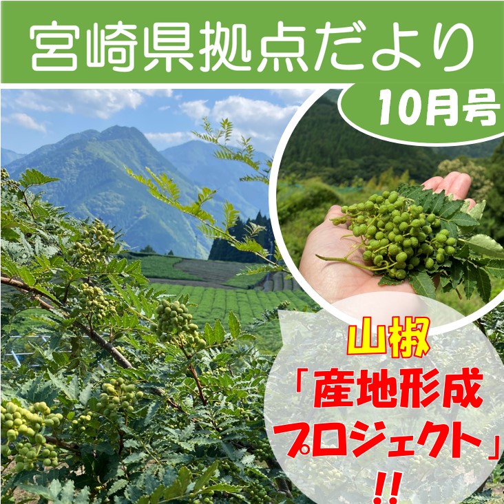 「宮崎県拠点だより No.52 10月号」を発行しました！
