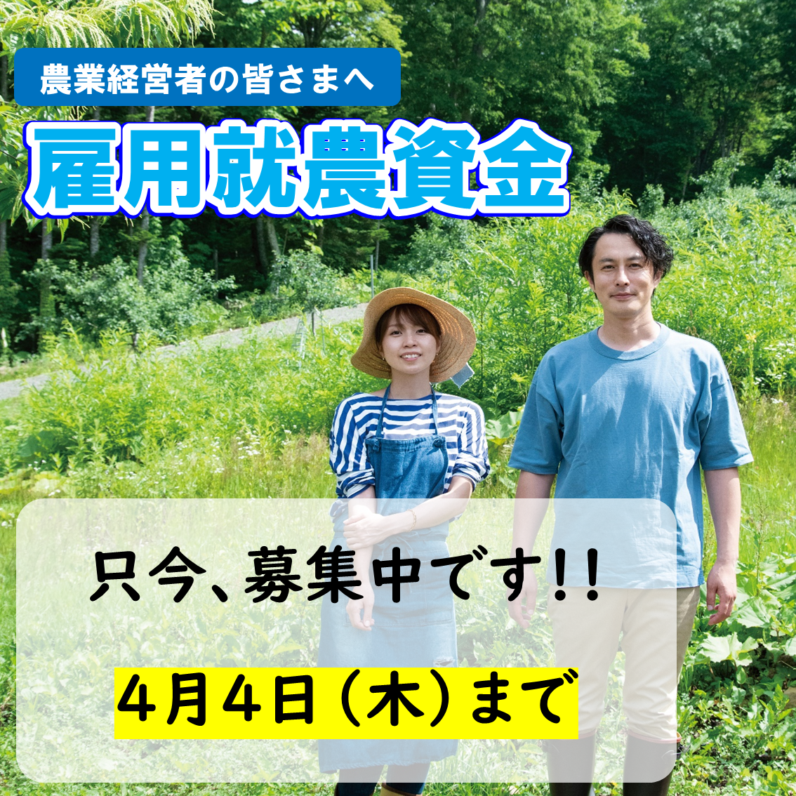 【雇用就農資金の募集開始】50歳未満の就農希望者を新たに雇用する皆様を応援します！