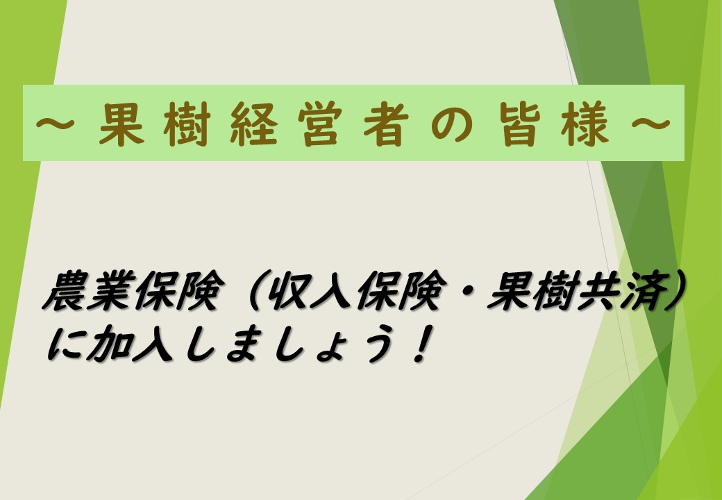 果樹を栽培している農業者の皆様へ　～農業保険（収入保険又は果樹共済）に加入しましょう！～