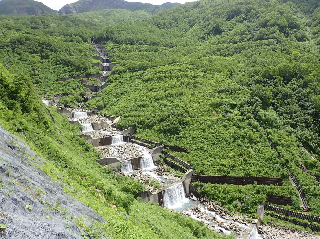 令和5年度治山・林道工事コンクールの受賞者が決定しました