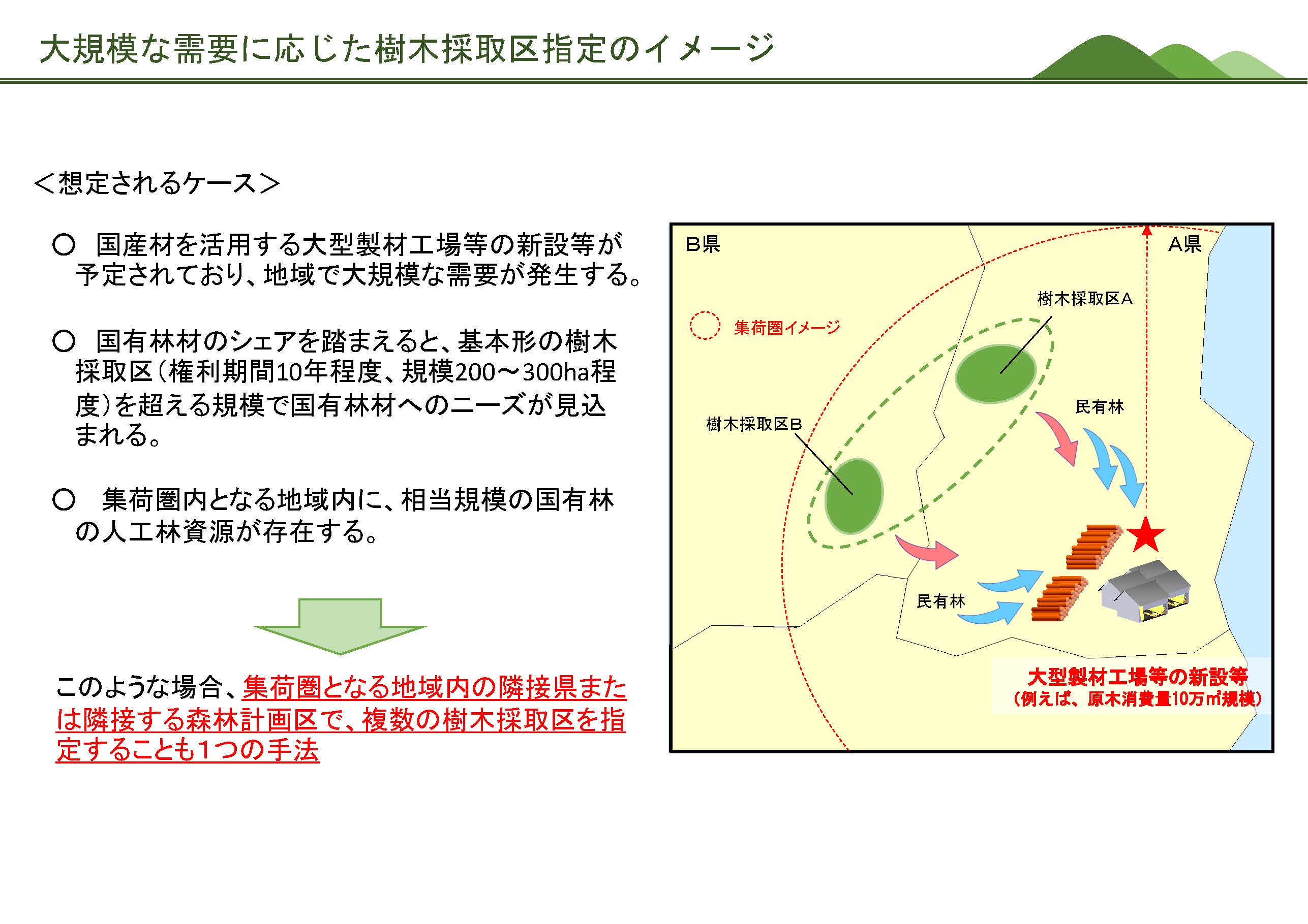 令和4年度国有林野における樹木採取権の設定規模の検討に係る新規需要創出動向調査（マーケットサウンディング）の実施について