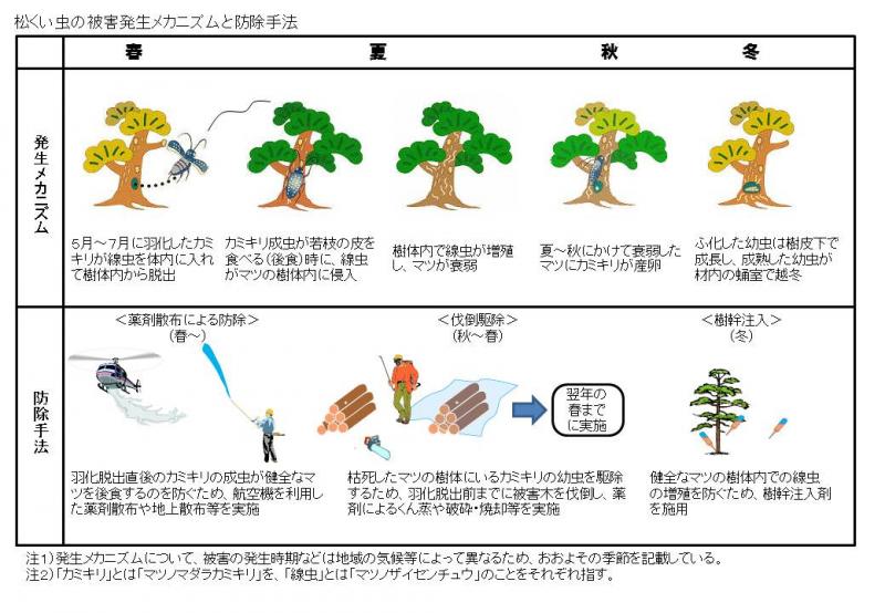 ドローンを活用した、松くい虫被害木の探査マニュアルとカミキリムシ駆除のための薬剤散布ガイドラインを公表しました