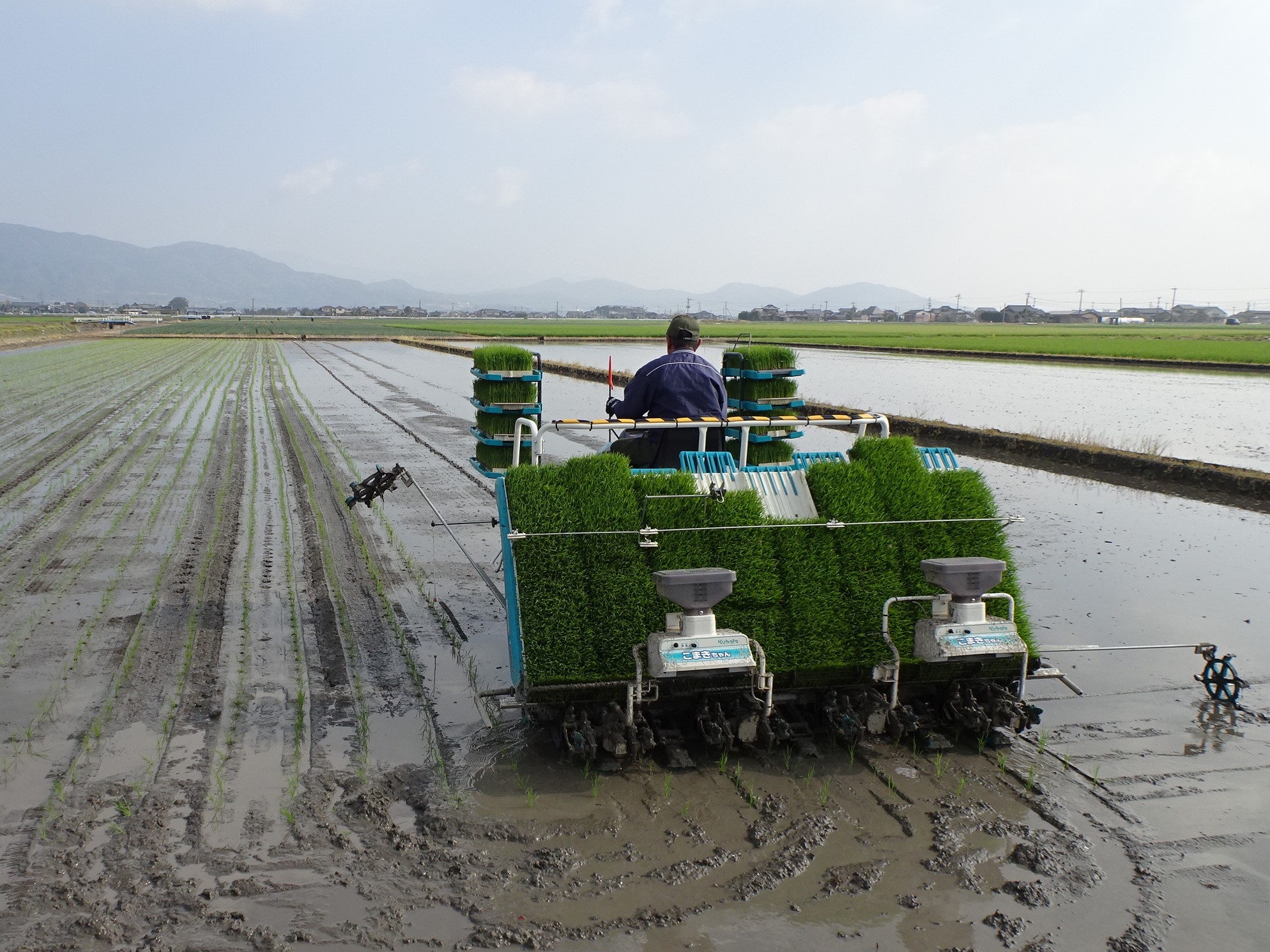 「七夕こしひかり」の田植えがスタート!（佐賀県白石町）