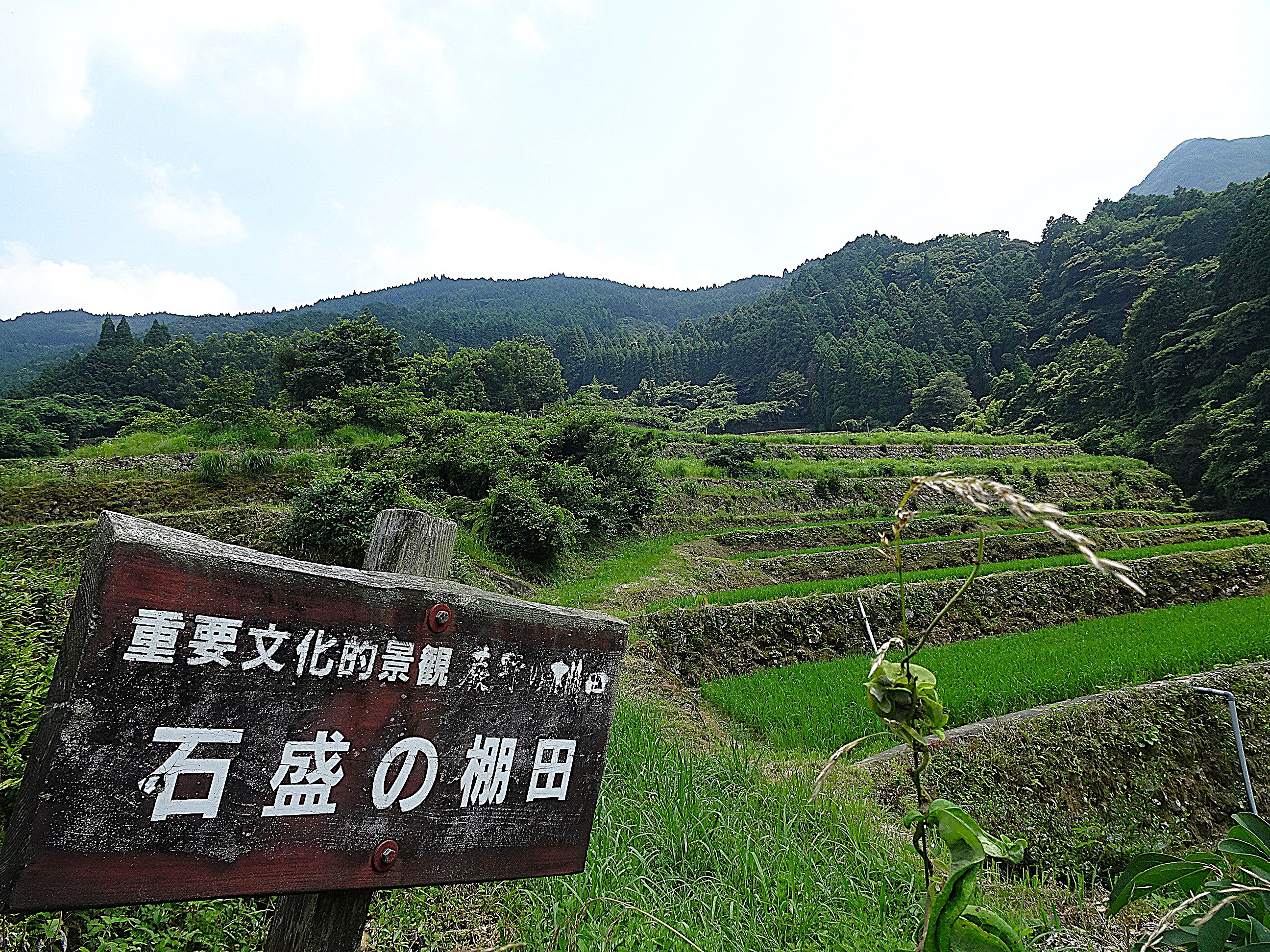 つなぐ棚田遺産「蕨野（わらびの）の棚田」をご紹介（佐賀県唐津市相知町）