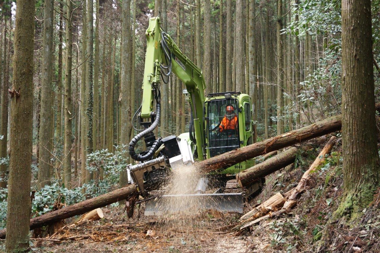 森林環境譲与税を活用した自治体の取組の紹介 Vol.8 佐賀県