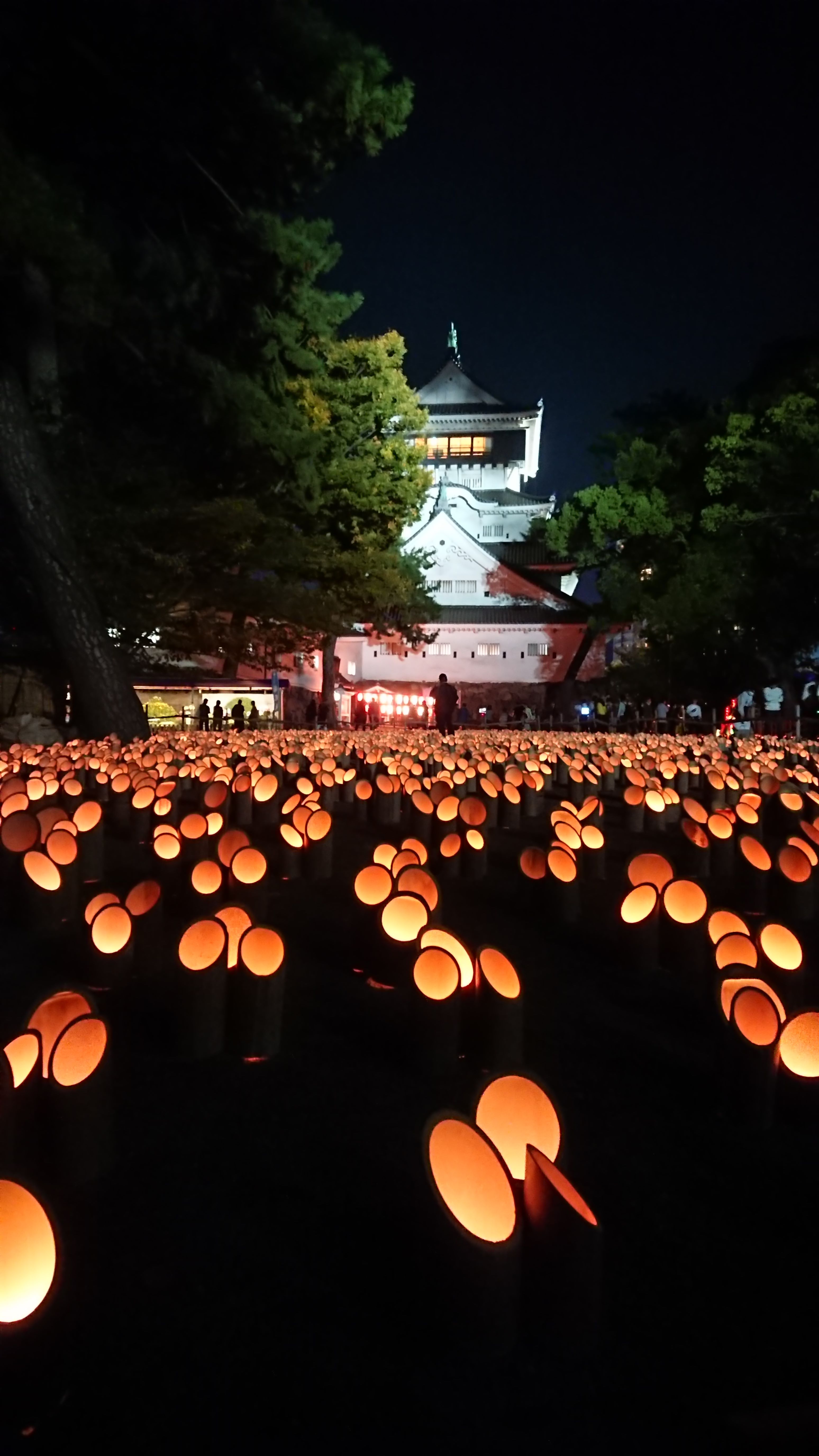 森林環境譲与税を活用した自治体の取組の紹介 Vol.5 福岡県北九州市