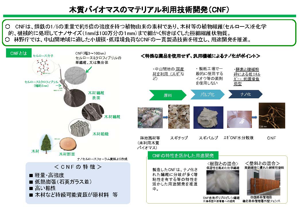 令和4年度の木質バイオマスの新たなマテリアル利用技術開発の成果2件を公表しました