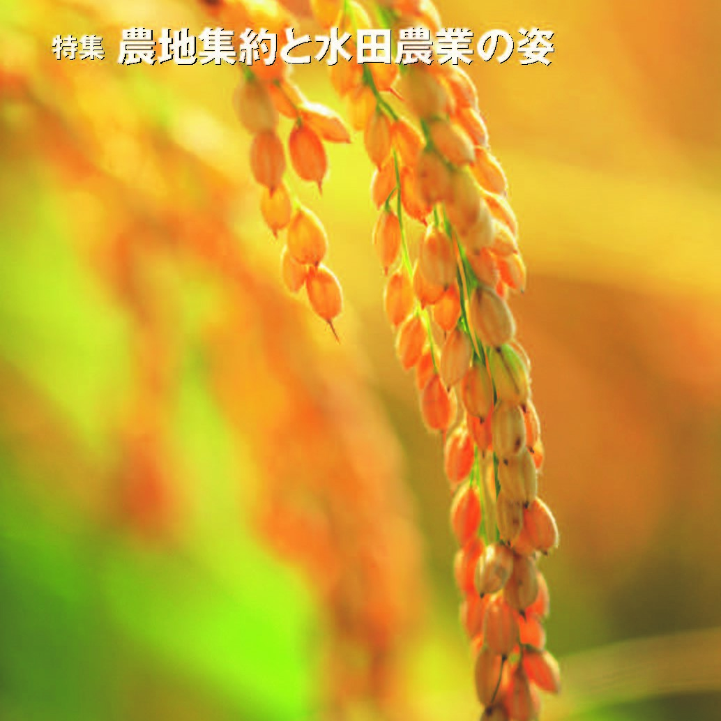 【日本公庫　情報誌】特集：農地集約と水田農業の姿