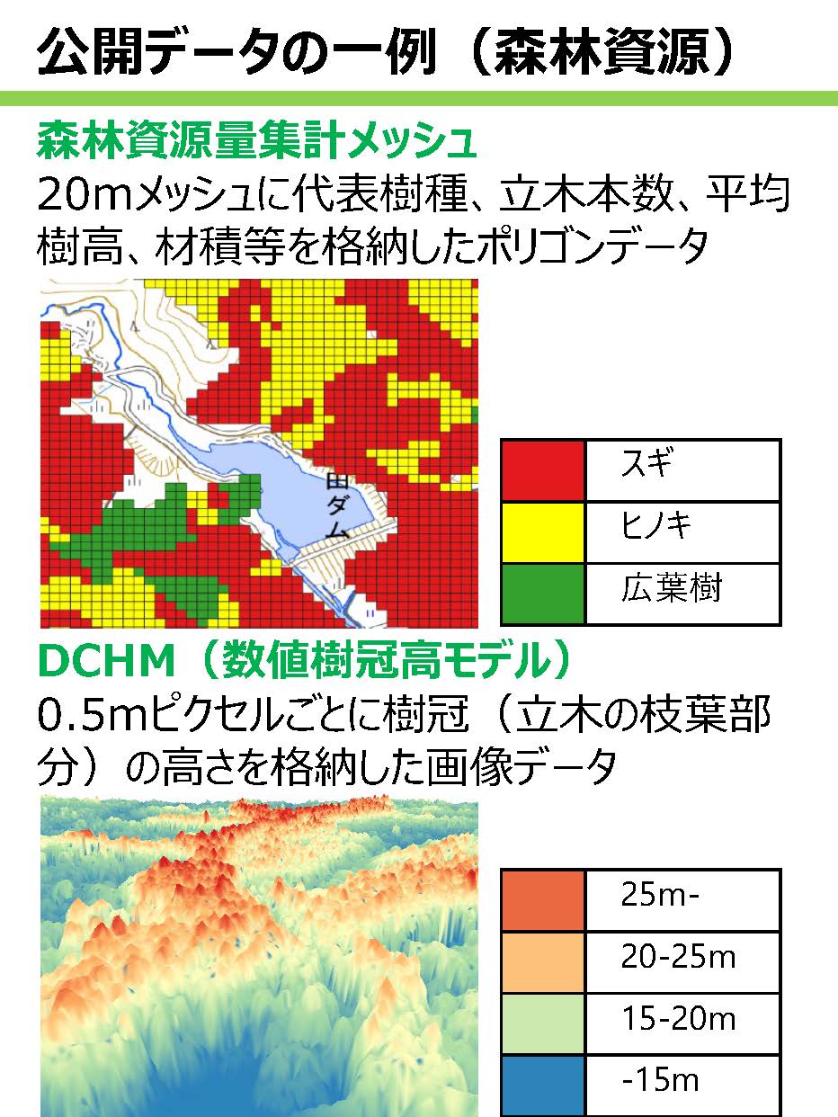 高精度な森林資源情報等の公開を開始しました