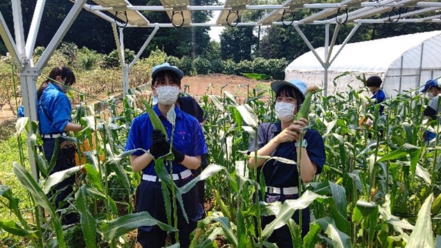 【関東農政局×若者】【日本の農業を応援！】学生チャレンジのご紹介～学生たちの農業革命～第３段！