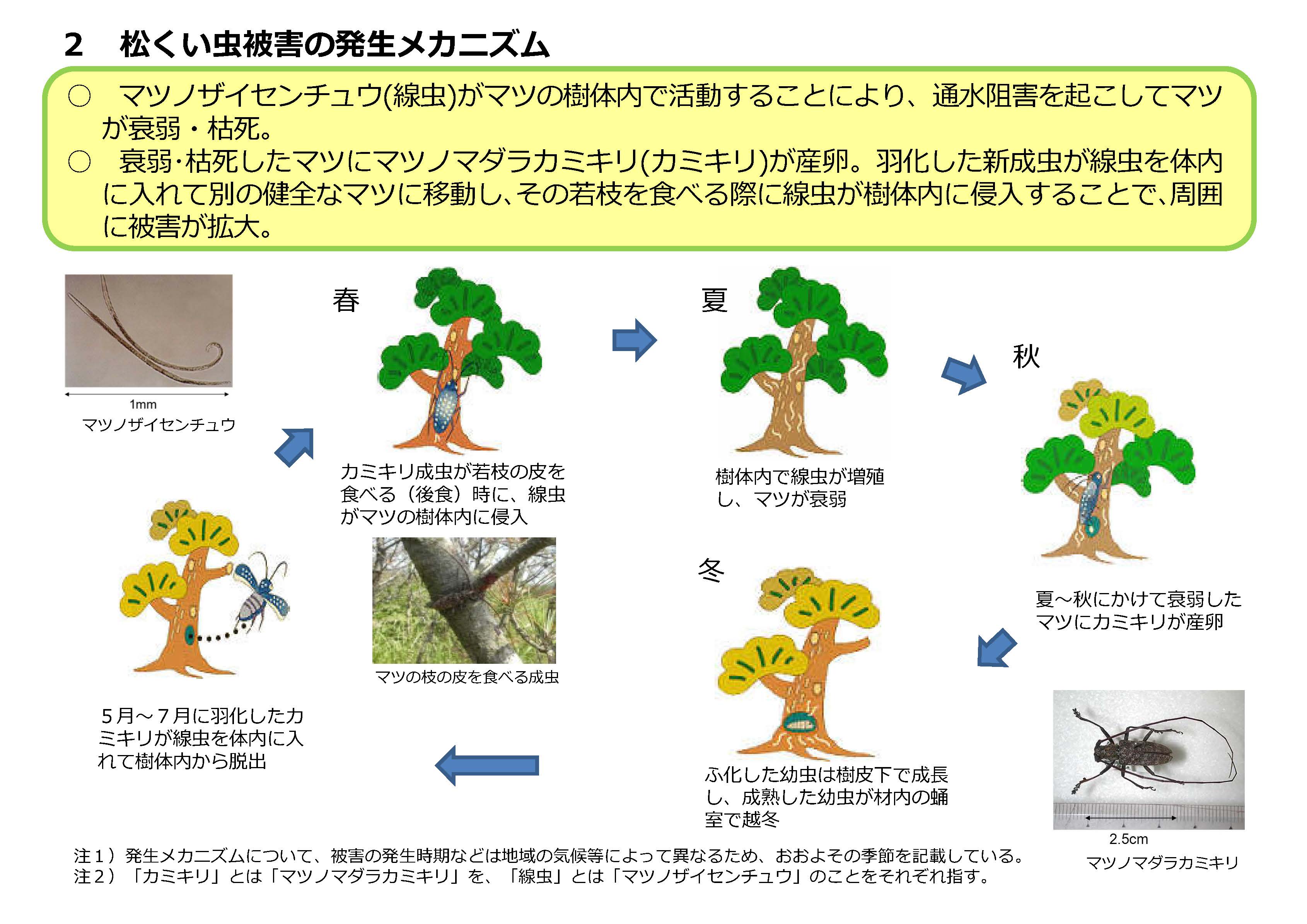 松くい虫被害の発生状況を最新データに更新しました