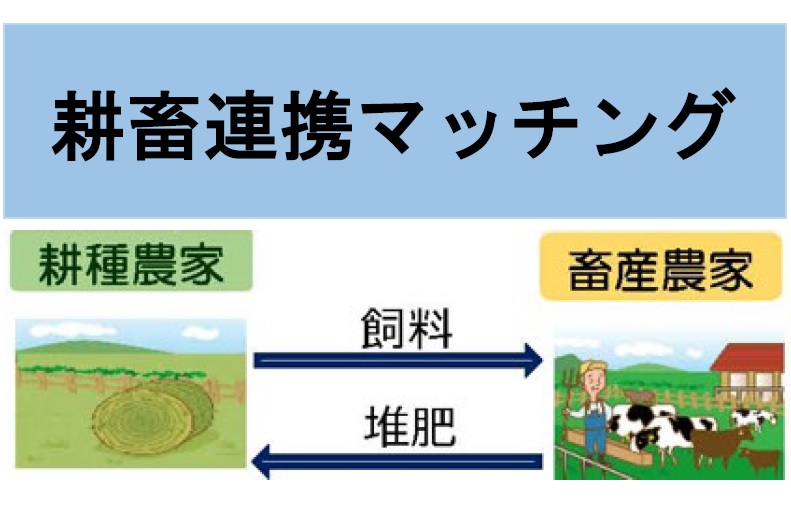 耕畜連携マッチングに参加しませんか？