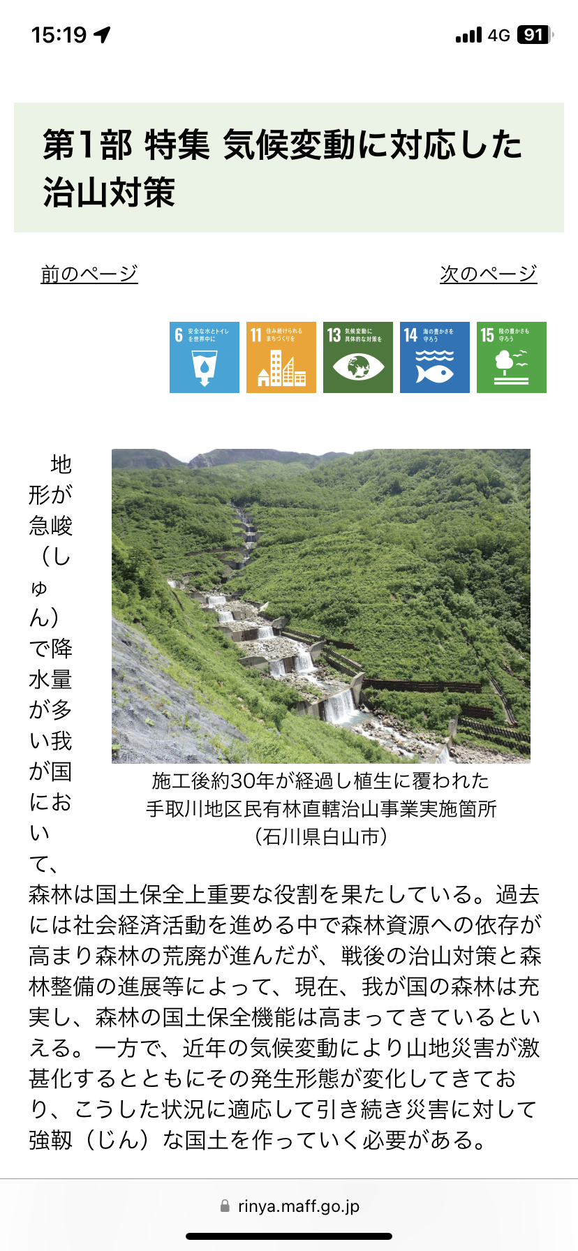 令和4年度 森林・林業白書のウェブ版を公開しました