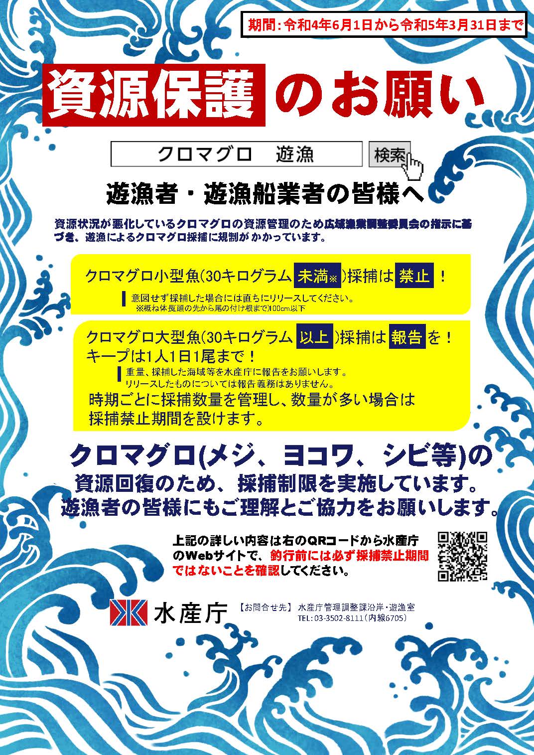 【クロマグロ遊漁】ポスターを作成しました