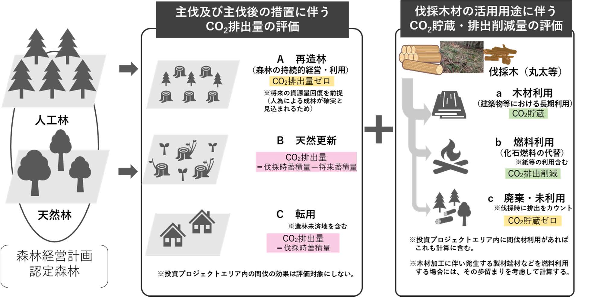 民間資金を活用した森林づくりの推進に向けた森林等への投資案件に係る評価の仕組みづくりについて～「カーボンニュートラルの実現等に資する森林等への投資に係るガイドライン」中間とりまとめの公表～