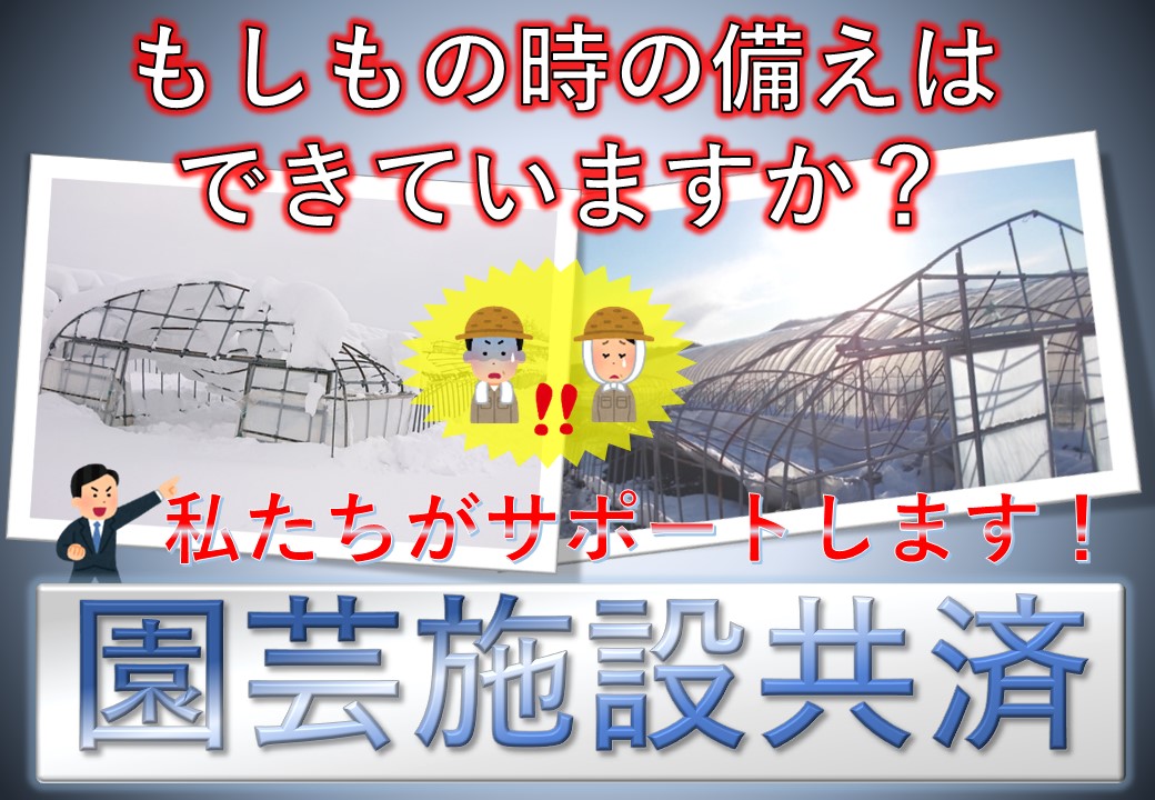 農業用ハウスの災害リスクに備えるなら園芸施設共済にお任せください！