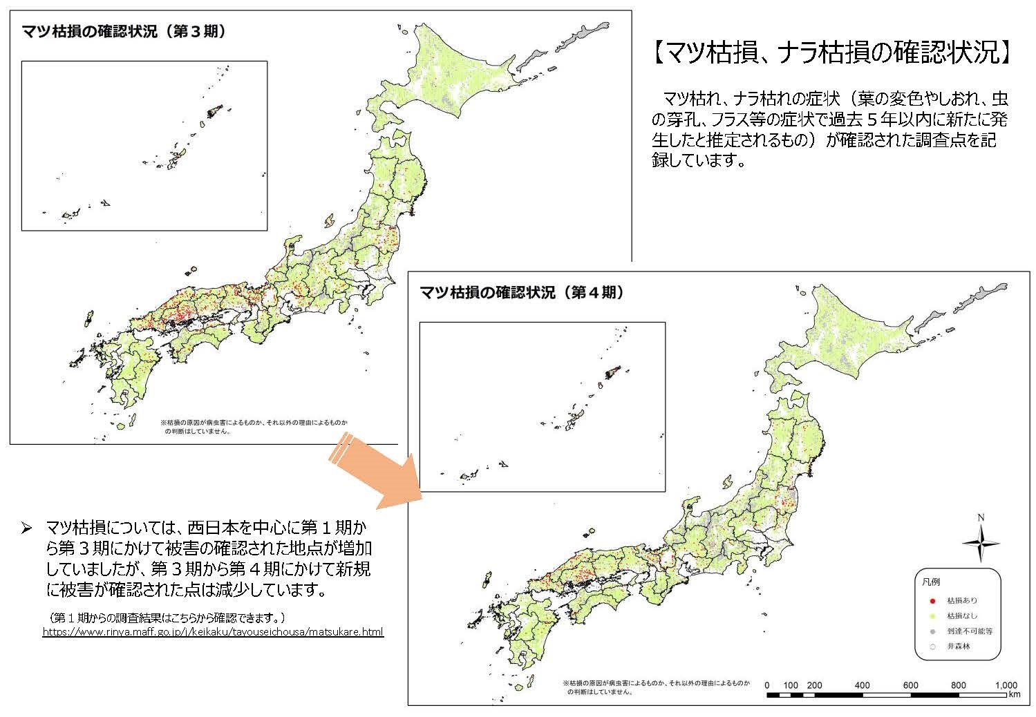 森林生態系多様性基礎調査第4期調査の結果を公表しました