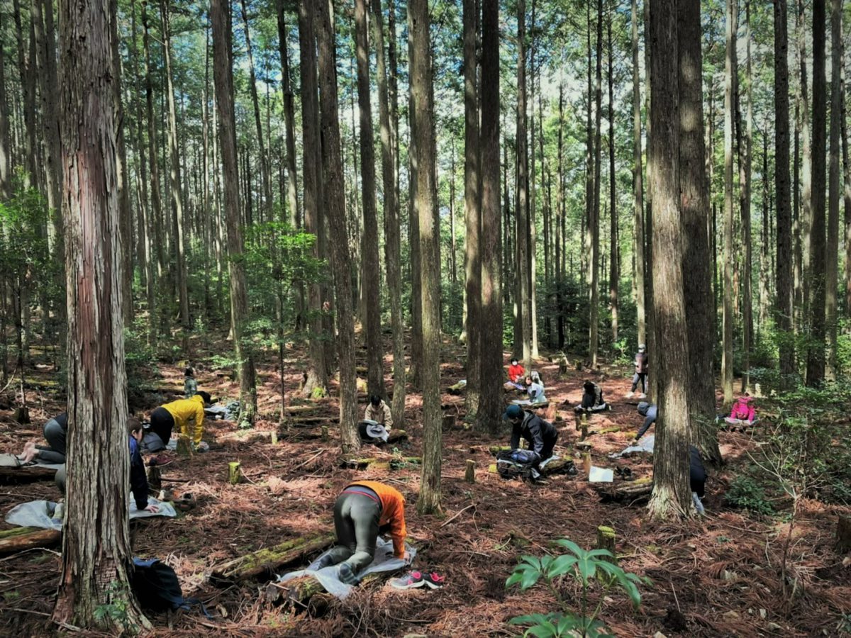 「森林サービス産業」推進地域･モデル地域･パートナーを募集しています