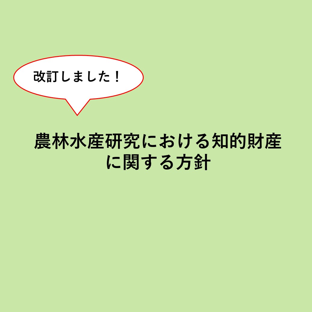 ＜研究者のみなさまへ＞「農林水産研究における知的財産に関する方針」を改訂しました！