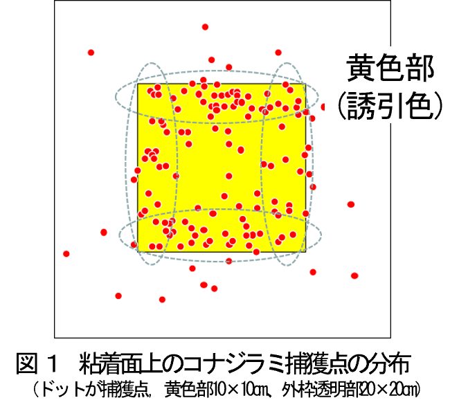 みどり戦略技術紹介：エッジ効果を利用した色彩誘因シート